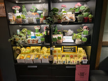 Load image into Gallery viewer, Keller Taproom
